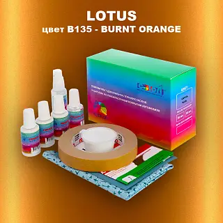 Ремкомплект для ремонта глубоких сколов и царапин LOTUS, цвет B135 - BURNT ORANGE