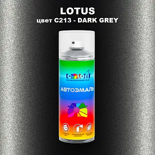 Аэрозольная краска LOTUS, цвет C213 - DARK GREY