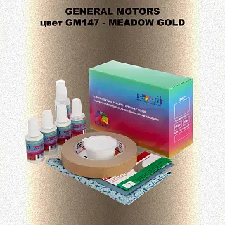 Ремкомплект для ремонта глубоких сколов и царапин GM, цвет GM147 - MEADOWGOLD