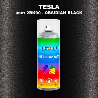 Аэрозольная краска TESLA, цвет 2BK00 - OBSIDIAN BLACK