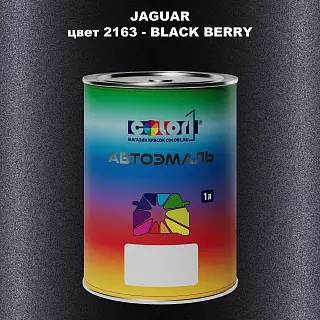Автомобильная краска JAGUAR, цвет 2163 - BLACK BERRY