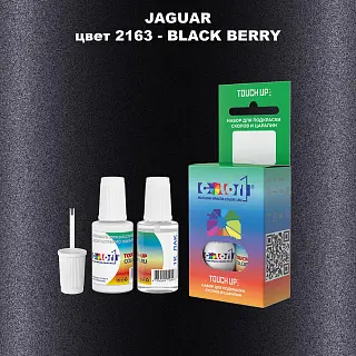 Краска для сколов во флаконе с кисточкой JAGUAR, цвет 2163 - BLACK BERRY
