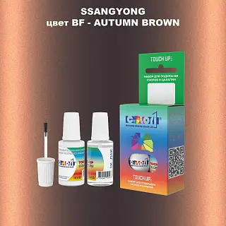 Краска для сколов во флаконе с кисточкой SSANGYONG, цвет BF - AUTUMN BROWN