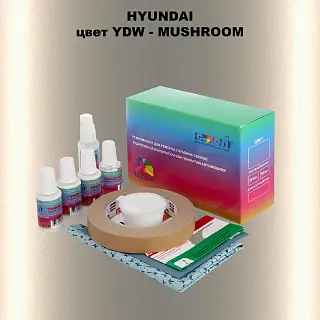Ремкомплект для ремонта глубоких сколов и царапин HYUNDAI, цвет YDW - MUSHROOM
