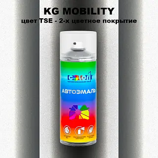 Аэрозольная краска KG MOBILITY, цвет TSE - 2-х цветное покрытие