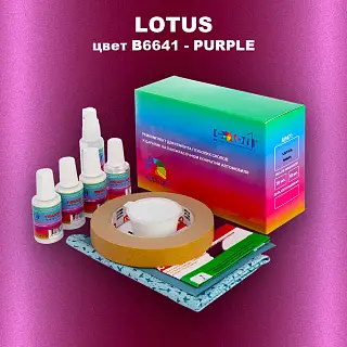 Ремкомплект для ремонта глубоких сколов и царапин LOTUS, цвет B6641 - PURPLE