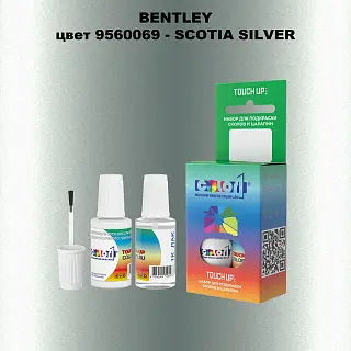 Краска для сколов во флаконе с кисточкой BENTLEY, цвет 9560069 - SCOTIA SILVER