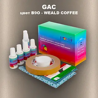 Ремкомплект для ремонта глубоких сколов и царапин GAC, цвет B9O - WEALD COFFEE