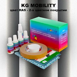 Ремкомплект для ремонта глубоких сколов и царапин KG MOBILITY, цвет HAS - 2-х цветное покрытие