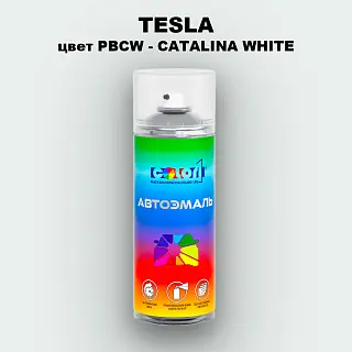 Аэрозольная краска TESLA, цвет PBCW - CATALINA WHITE
